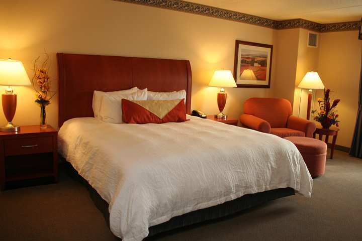 Hilton Garden Inn Chicago O'Hare Airport Des Plaines Room photo